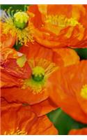 Poppy Notebook