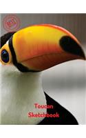 Toucan Sketchbook