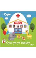 Cyw yn yr Ysbyty