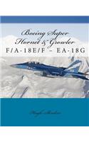 Boeing Super Hornet & Growler