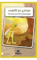The Ants and The Grasshopper - Amharic Children's Book