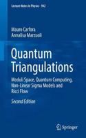 Quantum Triangulations: Moduli Space, Quantum Computing, Non-Linear SIGMA Models and Ricci Flow