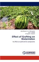Effect of Grafting on Watermelon