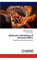 Molecular Modelling of Unusual DNA's