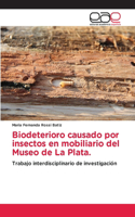 Biodeterioro causado por insectos en mobiliario del Museo de La Plata.