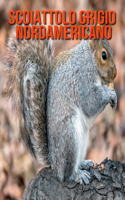 Scoiattolo grigio nordamericano