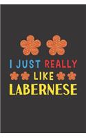 I Just Really Like Labernese: Dog Training Logbook For Peoples Who Loves Their Labernese Dog