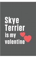 Skye Terrier is my valentine: For Silky Terrier Dog Fans
