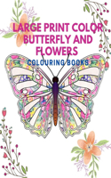 Large Print Color Butterfly and Flowers Colouring Book