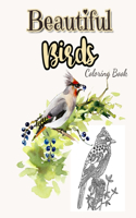 Beautiful Birds Coloring Book