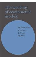 Working of Econometric Models