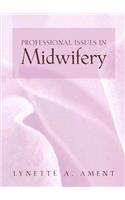 Professional Issues In Midwifery