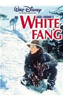 White Fang