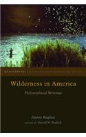 Wilderness in America