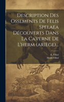 Description Des Ossements De Felis Spelaea Découverts Dans La Caverne De L'herm (ariège)...