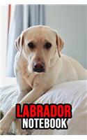 Labrador Notebook