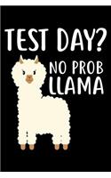 Test Day? No Prob Llama