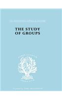 The Study of Groups: (International Library of Sociology)