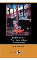 Bear Brownie