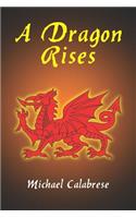 Dragon Rises