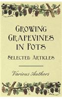 Growing Grapevines in Pots - Selected Articles