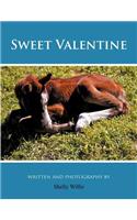 Sweet Valentine