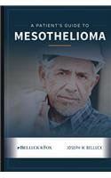 Patient's Guide to Mesothelioma