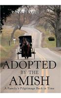 Adopted by the Amish: A Family's Pilgrimage Back in Time