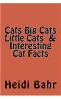 Cats Big Cats Little Cats & Interesting Cat Facts