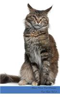 Maine Coon Cat Presents: Cat Facts Workbook. Maine Coon Cat Presents Cat Facts Workbook with Self Therapy, Journalling, Productivity Tracker with Self Therapy, Journalling, 