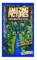 Amazing Pictures and Facts about Peacocks: The Most Amazing Fact Book for Kids about Peacocks