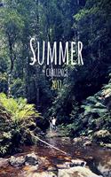 Summer Challenge 2017