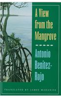 View from the Mangrove