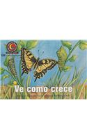 Ve Como Crece