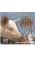 Life on a Pig Farm