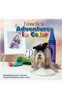 Gisselle's Adventures in Color