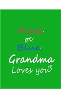 Pink or Blue Grandma Loves You Notebook