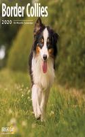 BORDER COLLIES WALL CALENDAR 2020