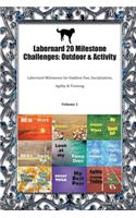 Labernard 20 Milestone Challenges: Outdoor & Activity: Labernard Milestones for Outdoor Fun, Socialization, Agility & Training Volume 1