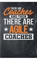 There Are Coaches and Then There are Agile Coaches