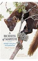Richness of Martens