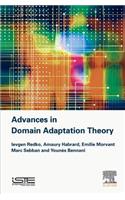 Advances in Domain Adaptation Theory