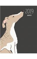 2019 Whippet