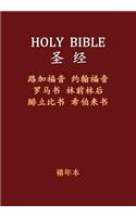 Holy Bible - Ntselect