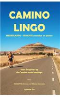 Camino Lingo - Nederlands - Spaanse Woorden En Zinnen