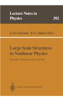 Large Scale Structures in Nonlinear Physics