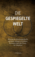 gespiegelte Welt