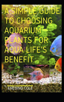 Simple Guide To Choosing Aquarium Plants For Aqua Life's Benefit