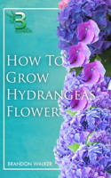 How to Grow Hydrangeas Flower