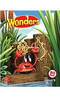 Wonders Reading/Writing Workshop Big Book, Volume 9, Grade K: (Elementary Core Reading)